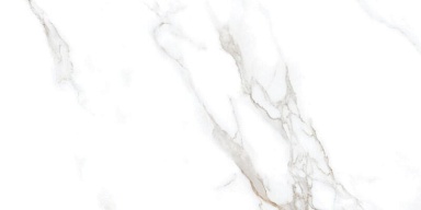 Керамогранит Neodom N20576 Statuario Irish Gold Matt 60x120