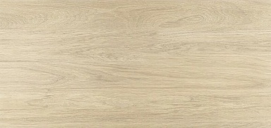 Керамогранит ProGRES Ceramica NR12060419-M Вуд Коричневый светлый матовый 1200x600x9.5
