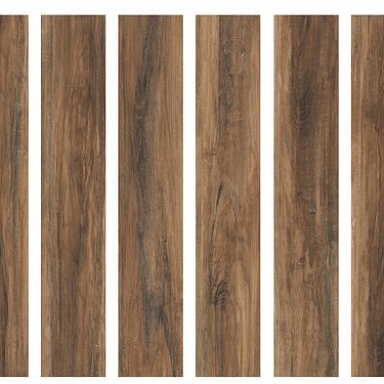 Terra Realistik