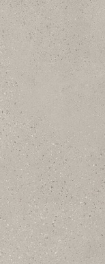 Плитка Kerama Marazzi 7256 Скарпа серый матовый 20x50x0,8