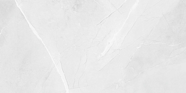 Керамогранит Royce R_PR2015 Floris Bianco Polished 60x120