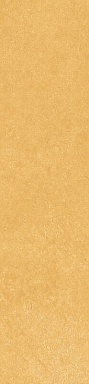 Керамогранит Simpolo Ceramics Scs Spectra Mustard 5,8х25
