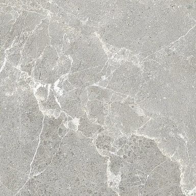 Керамогранит ProGRES Ceramica NR0388-M Гарсия Серый матовый 600x600x9.5