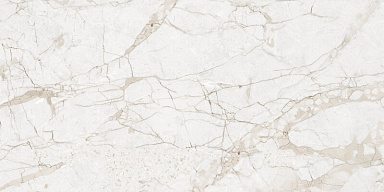 Керамогранит NT Ceramic NTT99519M Impero Grey Carving 60x120