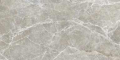 Керамогранит Provenza EKS8 Unique Marble Moon Grey Silktech 60x120