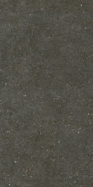 Керамогранит Casa Dolce Casa 785577 Rinascenza Arena Platino Matte 6mm 60x120