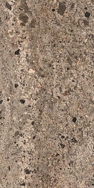 Керамогранит Casa Dolce Casa 785603 Rinascenza Basamento Terra Matte 60x120