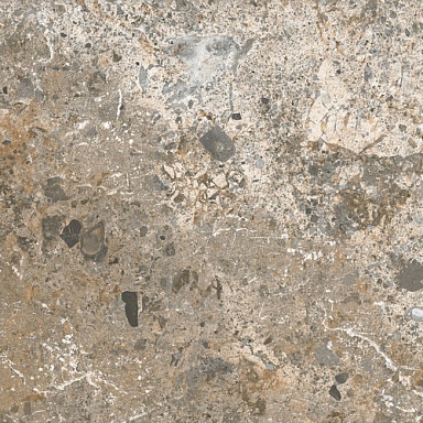 Керамогранит El Molino Camelot Arena 58x58