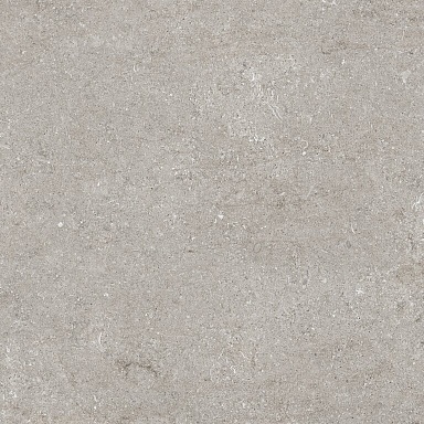 Керамогранит Casa Dolce Casa 768369 Sensi Grey Fossil R+PTV Ret 80x80