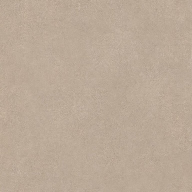 Керамогранит Ceramiche Piemme 05966 Fango Resin Nat/Ret 120x120