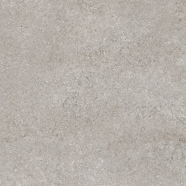 Керамогранит Casa Dolce Casa 768369 Sensi Grey Fossil R+PTV Ret 80x80