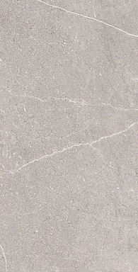 Керамогранит Arcadia Ceramica RG6001-A Equistone Gris Rotto Glossy Ink 60x120