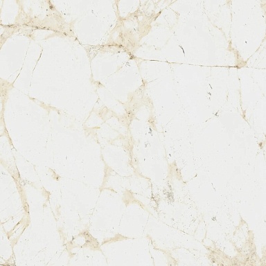 Керамогранит Coliseumgres 610010005761 Canova White Ret 60x60