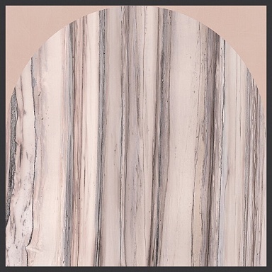 Декор Cedit 764116 Policroma Arco Valtoce-Cipria Mat Ret 6mm 120x120