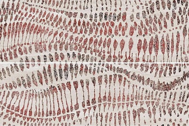 Панно Ibero R0002824 Strata Decor Beige (Set 2 Pzs) Rect 60x90