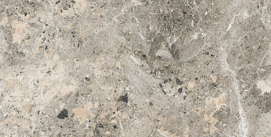 Керамогранит Alpas Euro Alaska Grey Pol. 60x120
