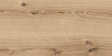 Керамогранит Cersanit C-WS4O152D Woodhouse темно-бежевый 29,7х59,8