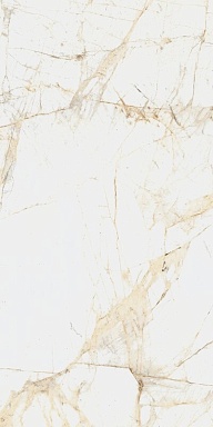 Керамогранит Coliseumgres 610010005765 Canova White Ret 60x120