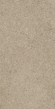 Керамогранит Casa Dolce Casa 768639 Sensi Taupe Lithos Ret R10 6mm 60x120