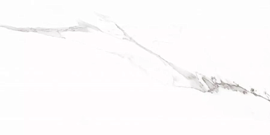 Керамогранит Prime Ceramics Carrara Rect матовая 60x120