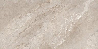 Керамогранит Neodom N20767 Rome Taupe Polished 60x120