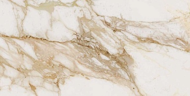 Керамогранит Ocean-Ceramic Loyal Glossy 60x120