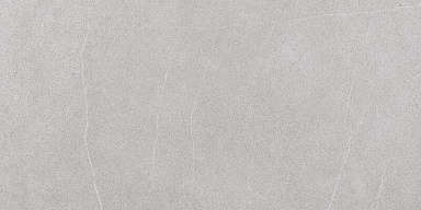 Керамогранит Березакерамика Modus GP grey 600х300