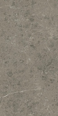 Керамогранит Atlas Concorde Italy AJIU Marvel Meraviglia Grigio Elegante Matt 60x120