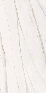 Керамогранит Serenissima Cir Florentino Silk Rett 60x120