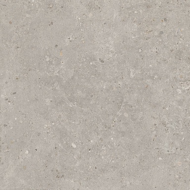 Керамогранит Kerama Marazzi SG653720R Риккарди серый светлый матовый обрезной 60x60