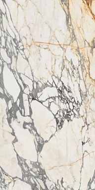 Керамогранит Ariana Ceramica PF60009341 Arabescato Lapp. 3d Ret 60x120