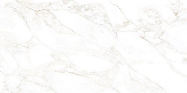 Керамогранит NT Ceramic NTT99526M Marble Extra Endless 60x120