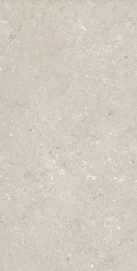 Керамогранит Dado Ceramica 005486 Shellstone Beige 60x120
