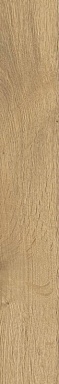 Керамогранит Stargres SGR29 Aurevia Gold 9.2x60