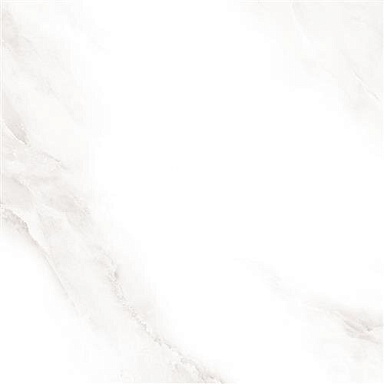 Керамогранит Sina Tile 2573 Shine grey Polished 60x60
