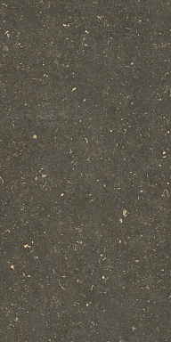 Керамогранит Casa Dolce Casa 785511 Rinascenza Arena Platino Grip 20mm 60x120