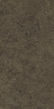 Керамогранит Protiles PT12F7039 Neapol Brown Matt 1200х600х9