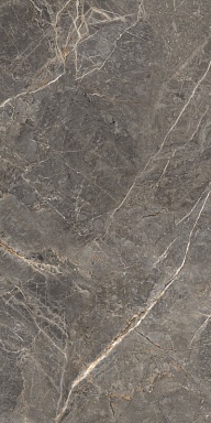 Керамогранит Global Tile GT1206023109MGR Salsa Темно-серый 60x120