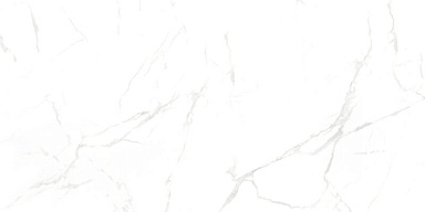 Керамогранит NT Ceramic NTT99607M Callacata carving 60x120