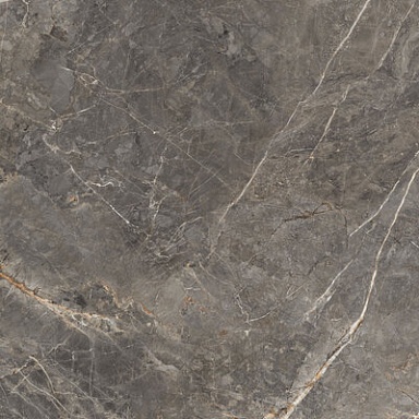 Salsa Global Tile