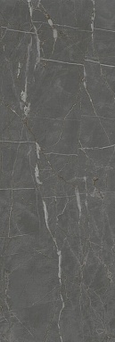 Плитка Kerama Marazzi 13098TR Буонарроти серый темный матовый обрезной 30x89,5x0,9
