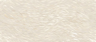 Декор Atlas Concorde Italy HDUD Vest Decoro Breath 6mm 120x278