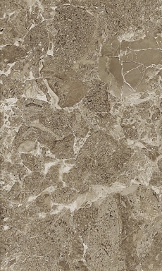 Плитка Gracia Ceramica Saloni brown 02 30*50