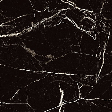 Керамогранит Arcadia Ceramica HG2008-A Black Spinder High Gloss 60x60