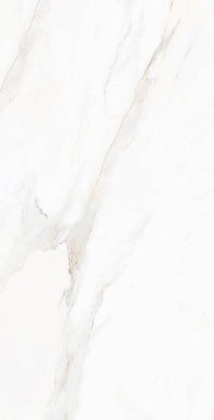 Керамогранит Novin Ceram Yazd Tile Co N9608T30 Sharon Light Polished 60х120