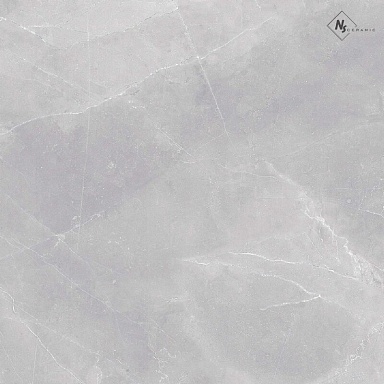 Керамогранит NS Ceramic NSC8041 Серый матовый 80x80