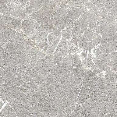 Керамогранит ProGRES Ceramica NR0388-M Гарсия Серый матовый 600x600x9.5