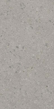 Керамогранит Kerama Marazzi DD591400R Чеппо ди Гре серый матовый обрезной 119,5x238,5x1,1