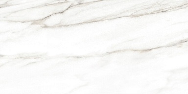 Плитка Alma Ceramica TWU2550EPH04 Euphoria 249x500x7