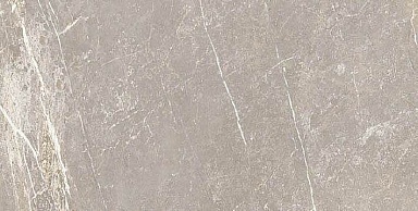 Керамогранит Cerim 766630 Elemental Grey Dolomia Luc Ret 30x60